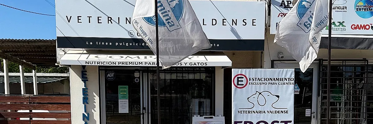 Veterinaria Valdense