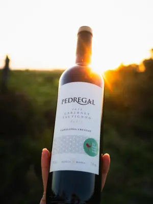 Sunset Otoñal